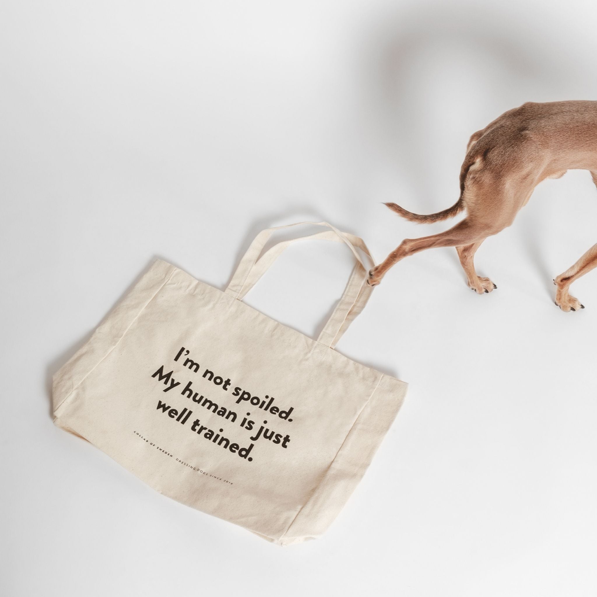 Tote Bags for Dog & Cat Lovers