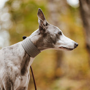 Hnědý Houndstooth psí obojek Wide
