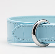 Baby Blue Croco psí obojek tenký
