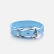 Obojek pro psy Baby Blue Thin