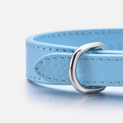 Obojek pro psy Baby Blue Thin