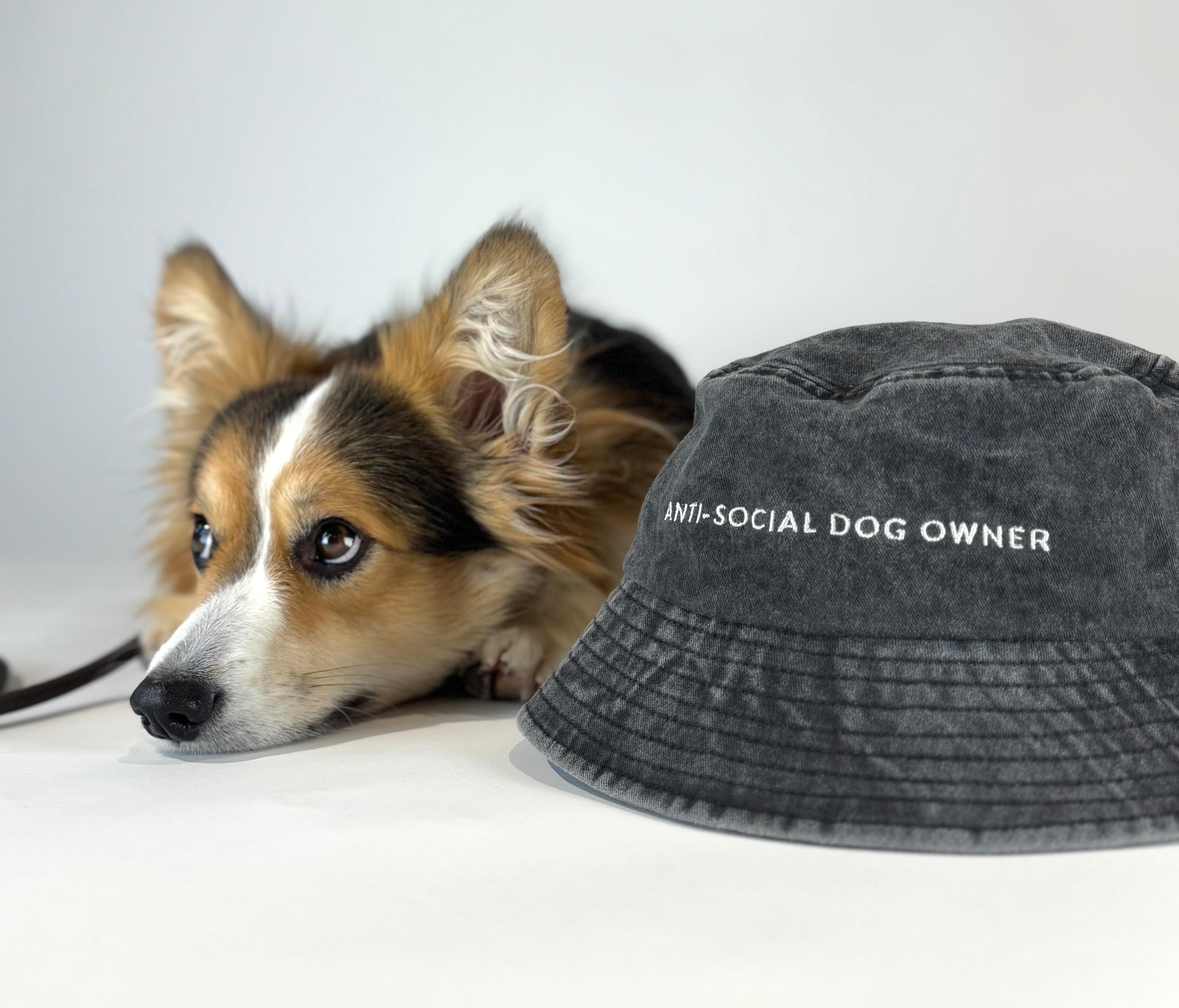Černá džínová kbelíková čepice - Anti-Social Dog Owner