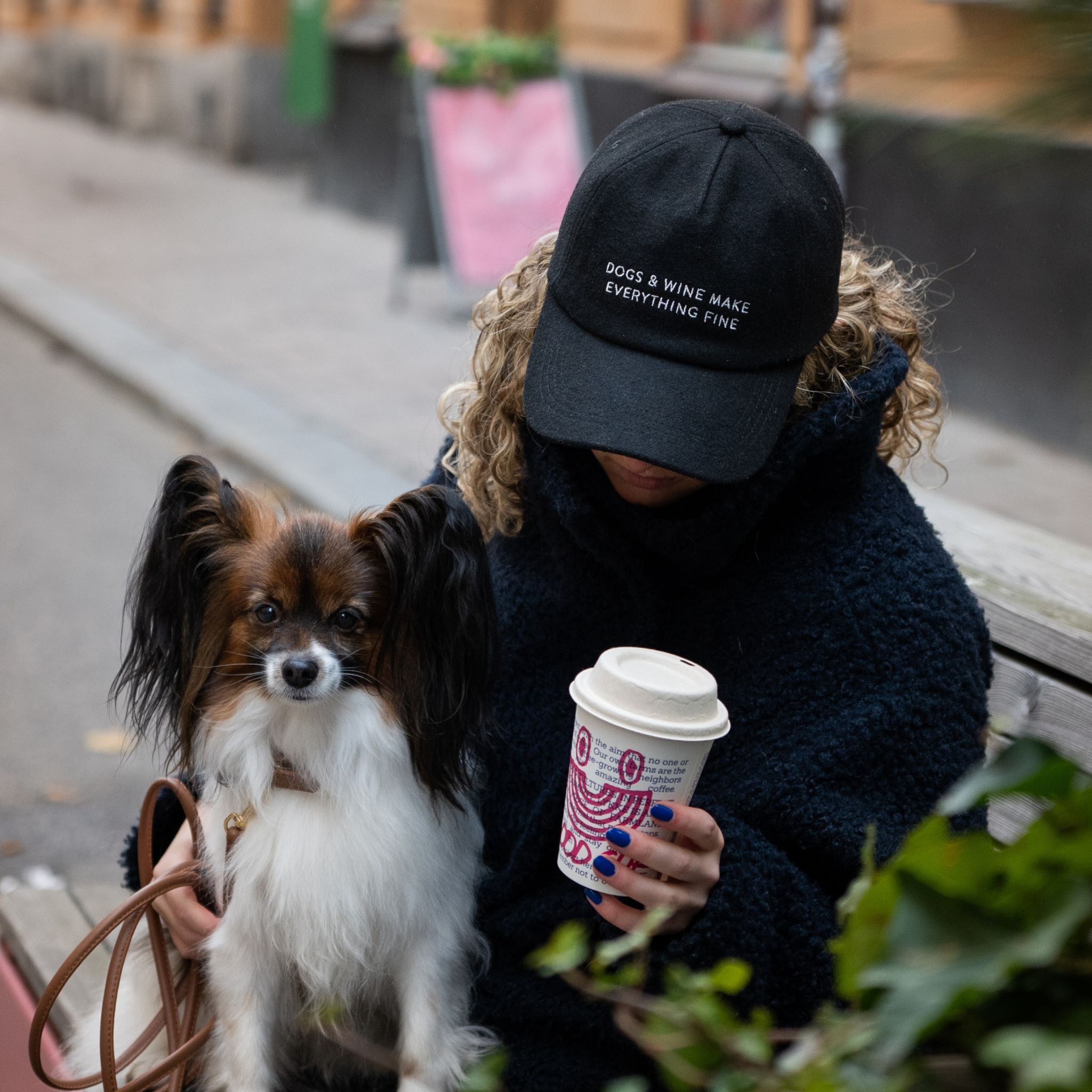 Black Wool Cap - Dogs & Wine Make Everything Fine