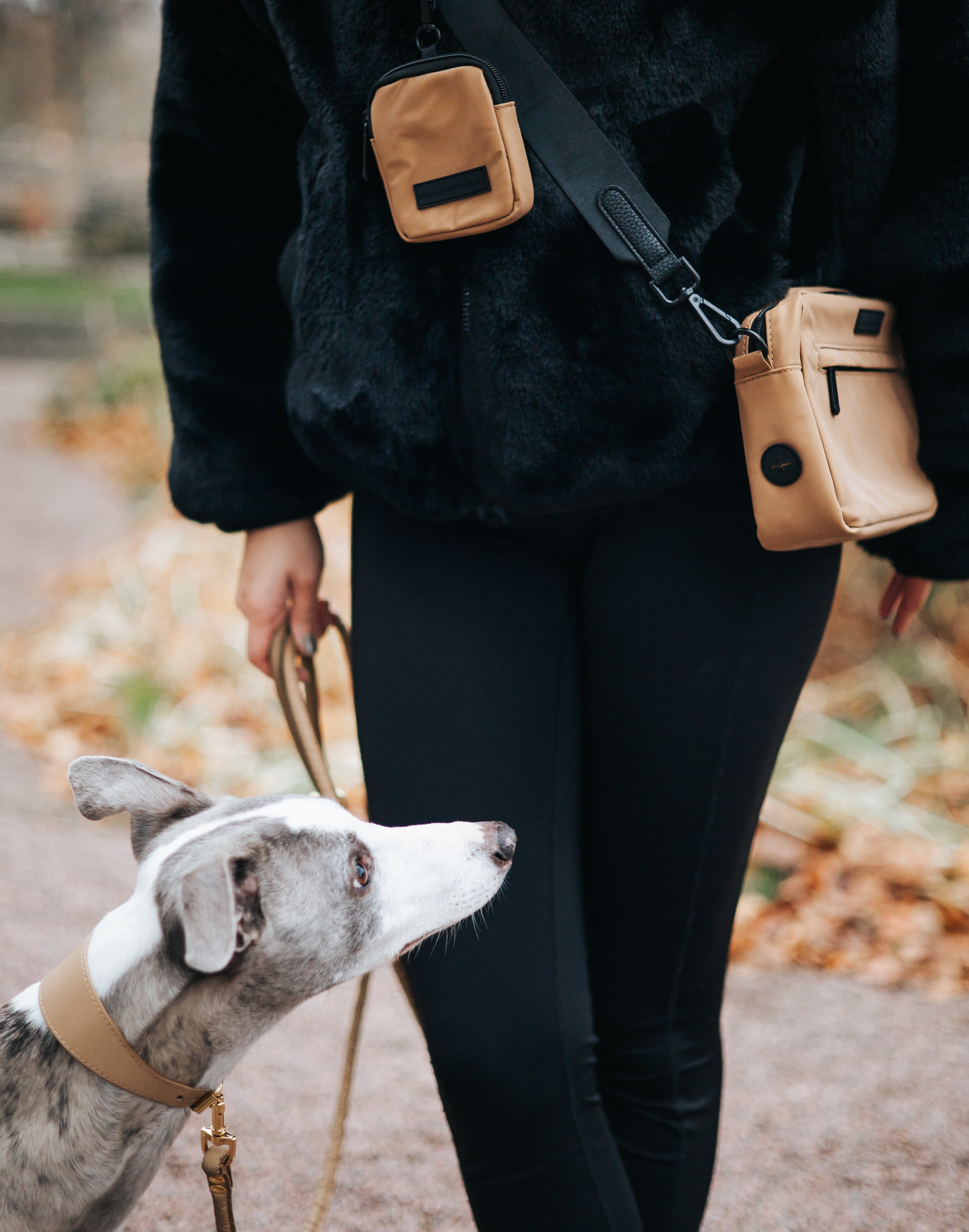 Reflexní bronzová taška na venčení psů - Crossbody