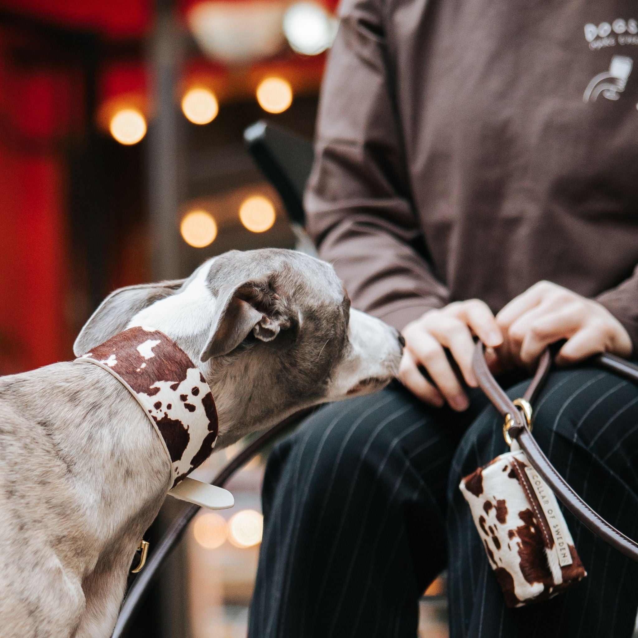 Kráva Obojek pro psa široký