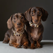 Krávy obojek pro psa tenký