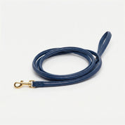 Dark Blue Dog Lead
(Tmavě modré vodítko pro psa)