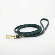 Dark Green Dog Lead
Zelené vodítko pro psy