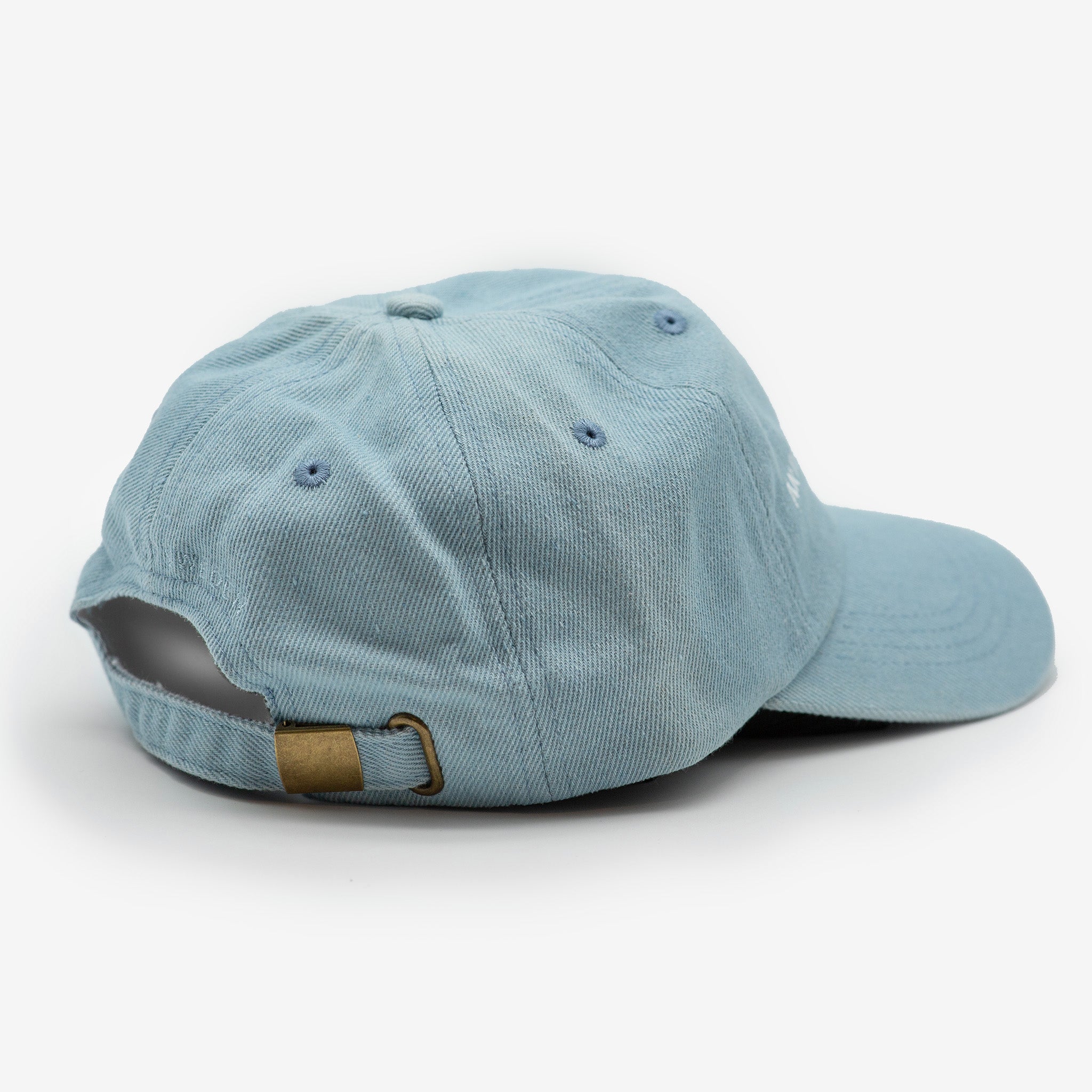 Denim kšiltovka - Majitel asociálního psa