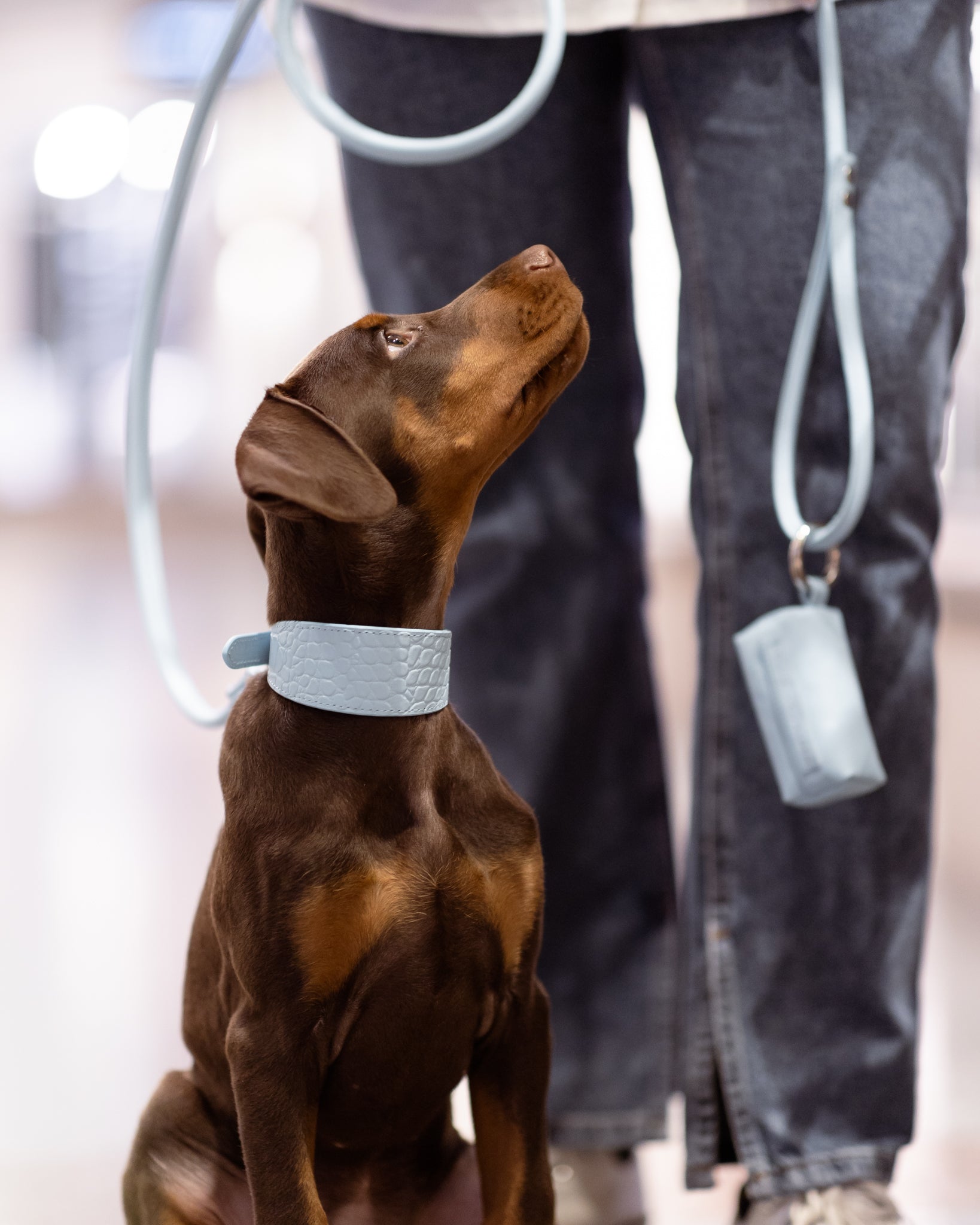 Baby Blue Držák na pytlíky na psí exkrementy