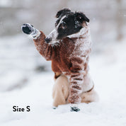 Ponožky pro psy - 4 kusy