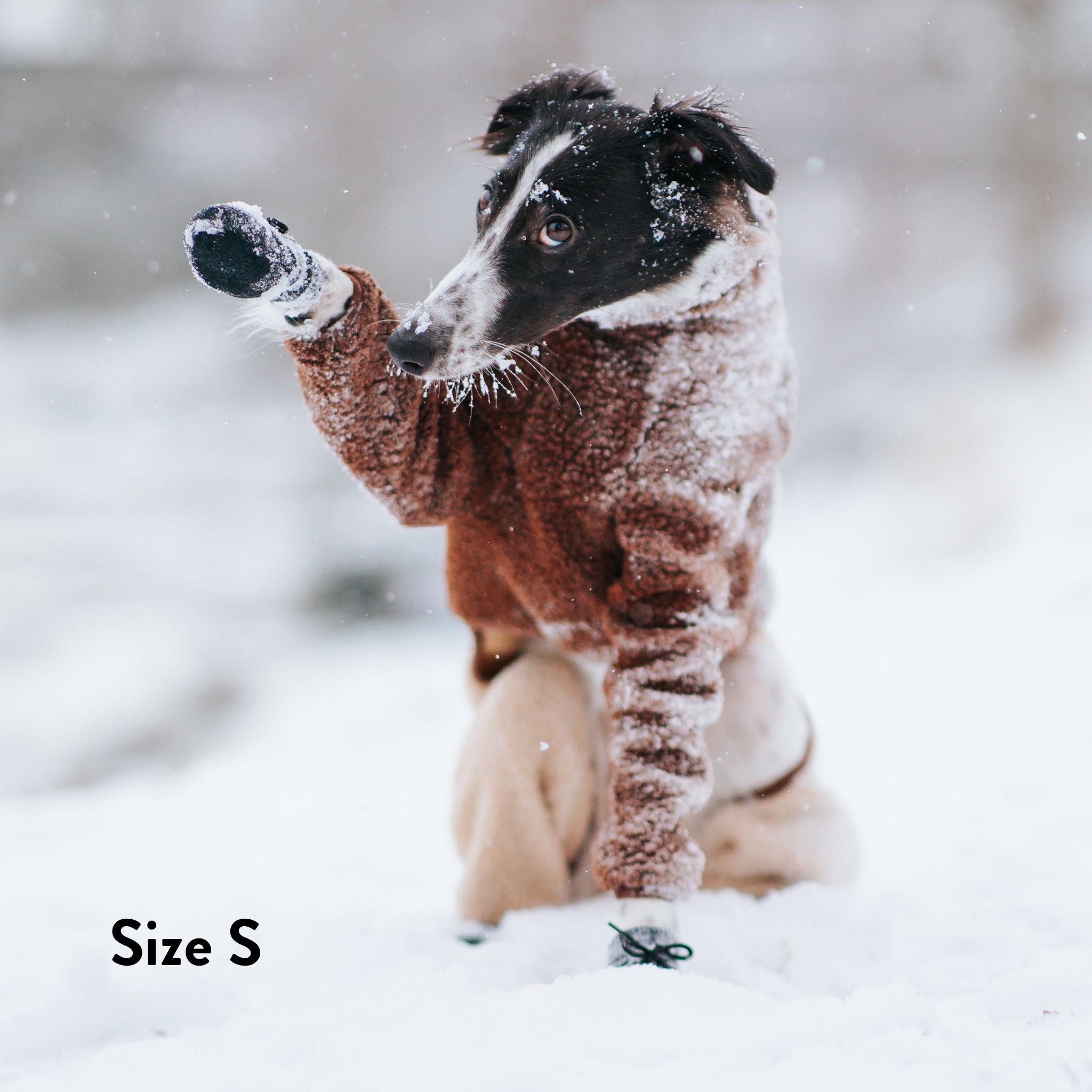 Ponožky pro psy - 4 kusy