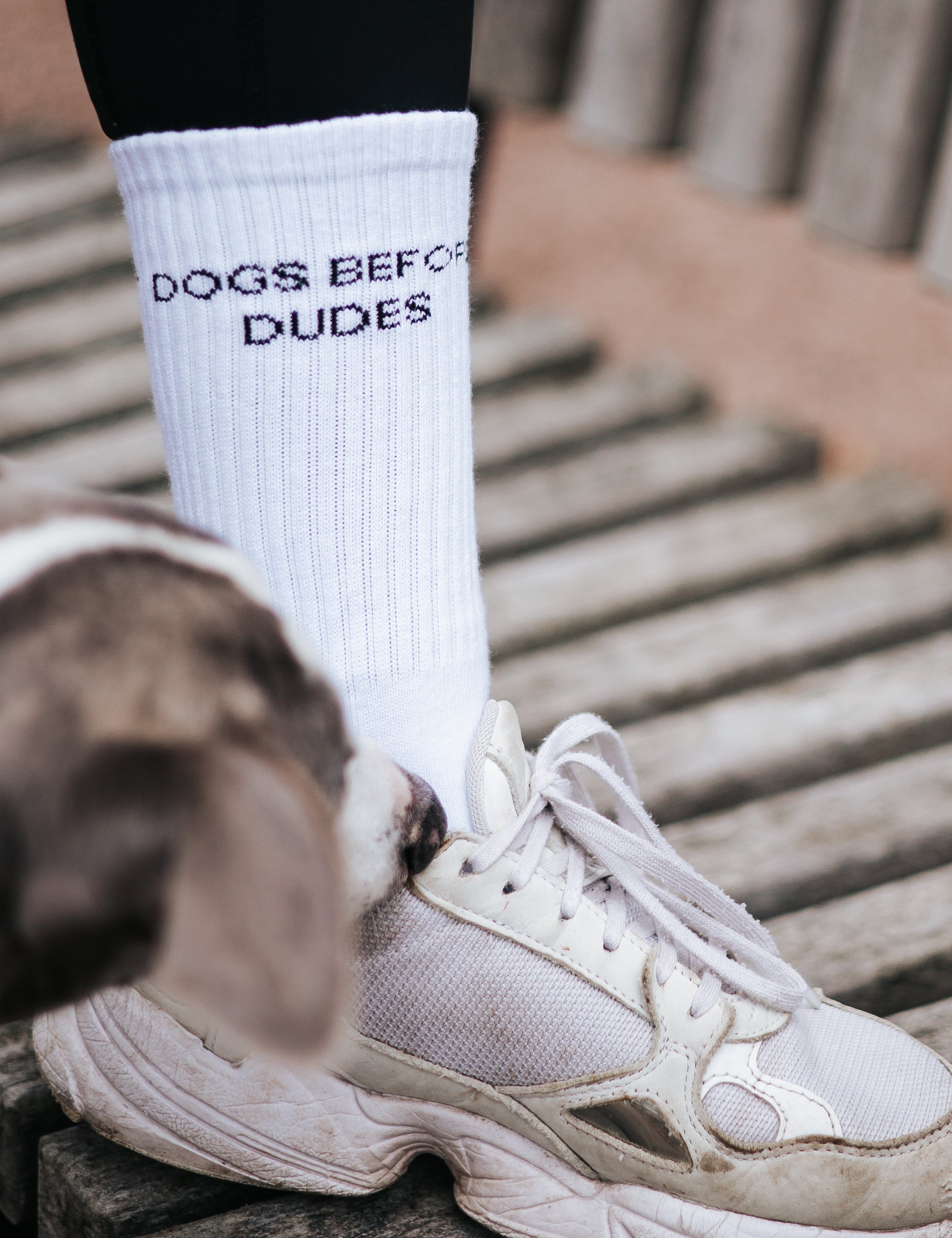 Bílé ponožky - Dogs Before Dudes
