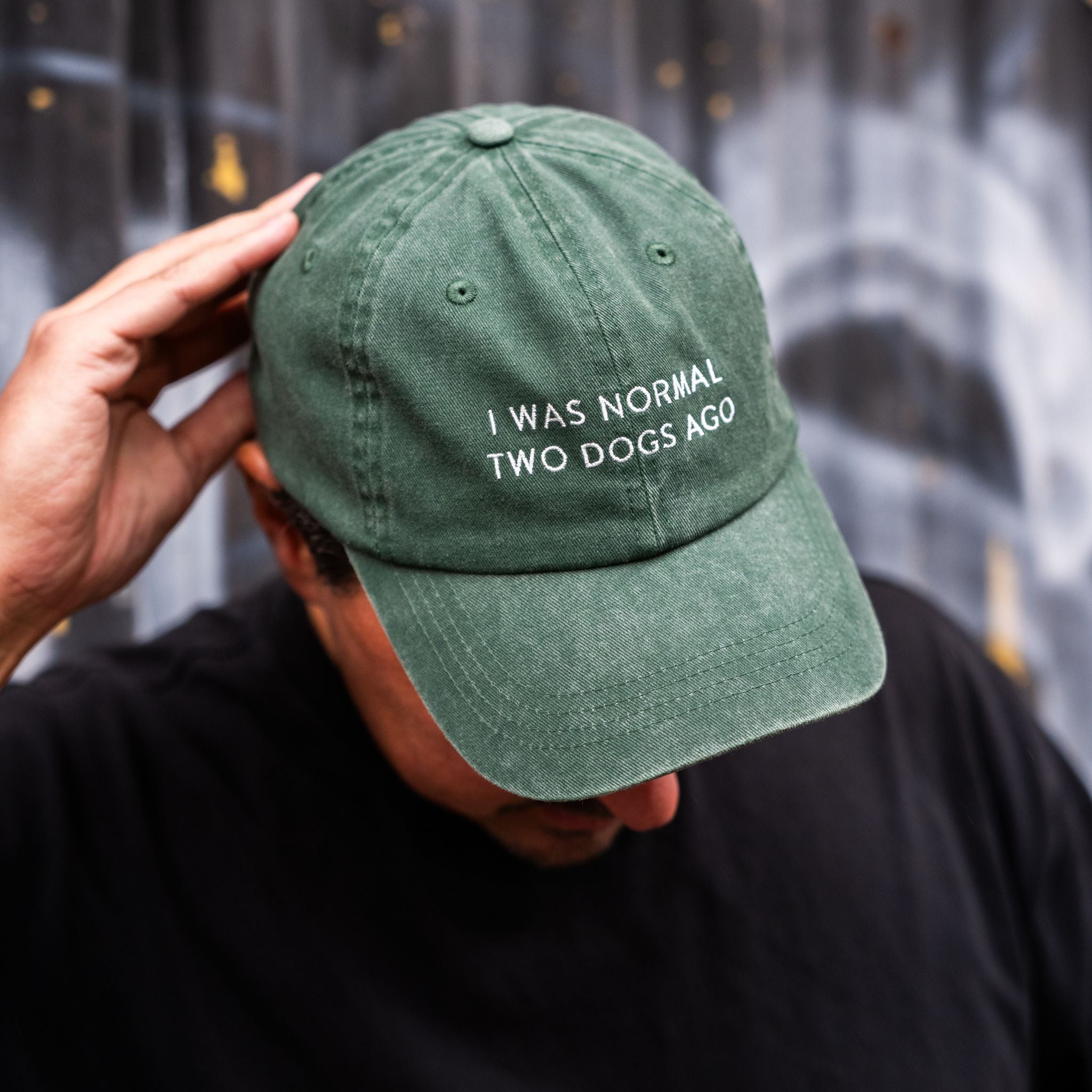 green-denim-cap-i-was-normal-two-dogs-ago-man.jpg