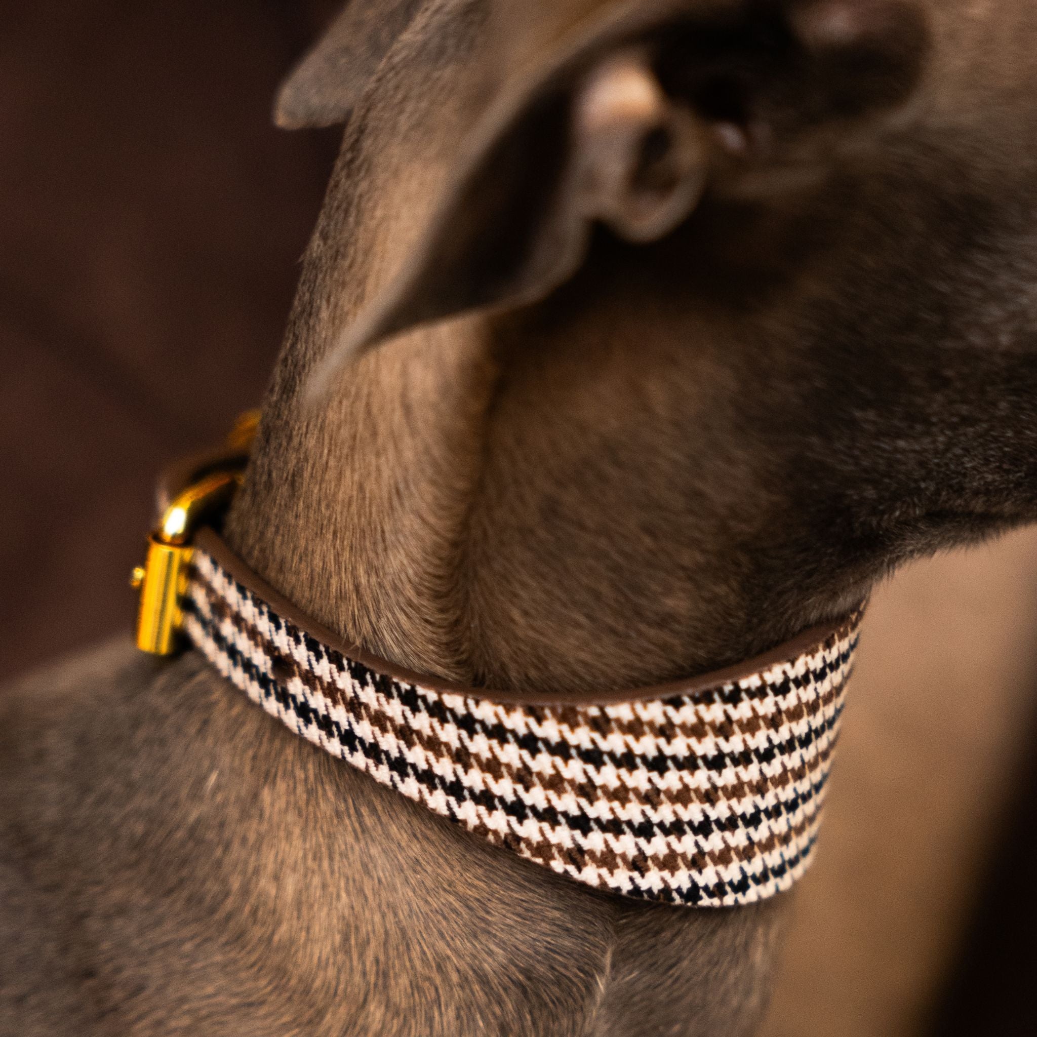 Hnědý Houndstooth psí obojek Wide