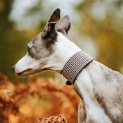 Hnědý Houndstooth psí obojek Wide