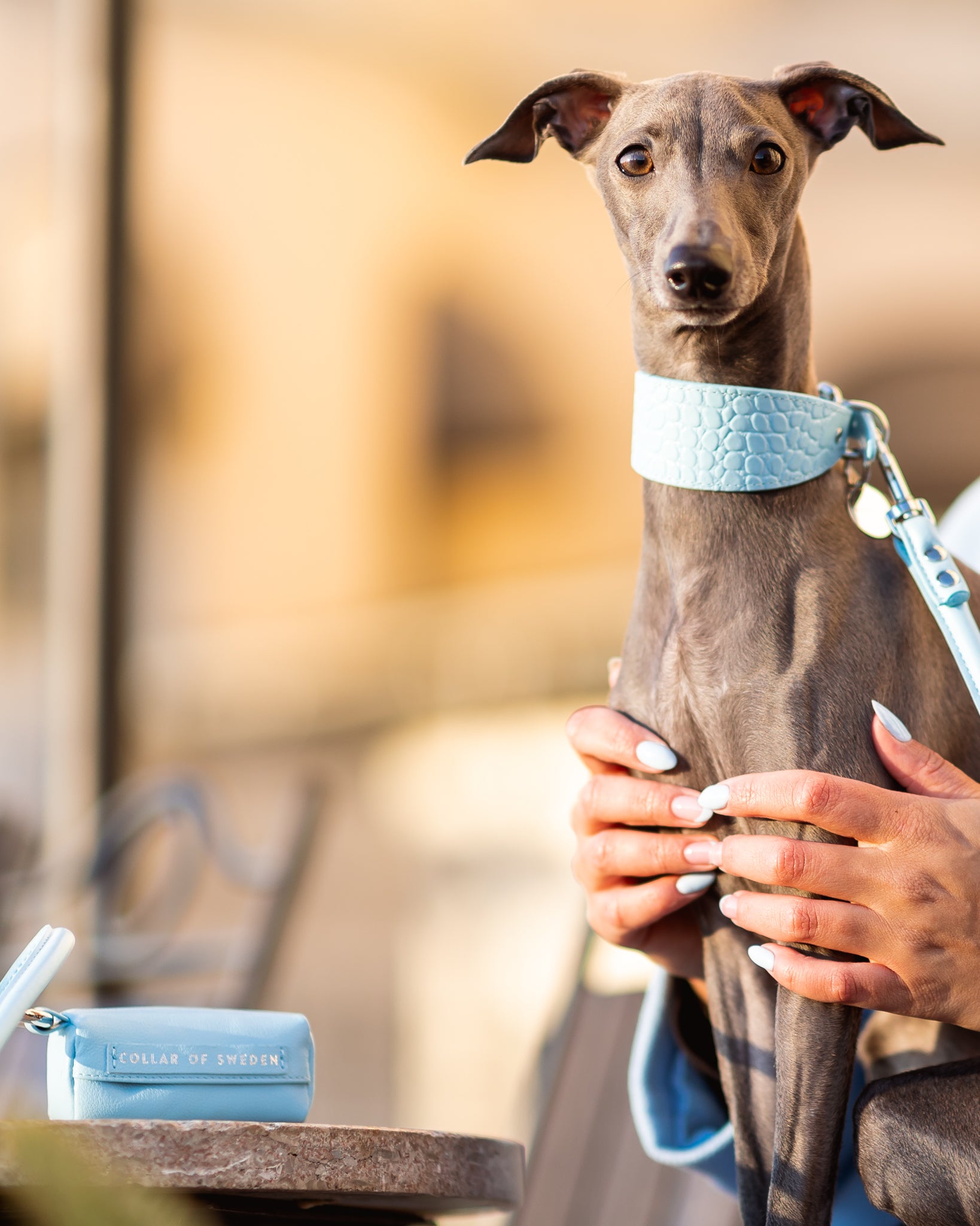 Baby Blue Držák na pytlíky na psí exkrementy