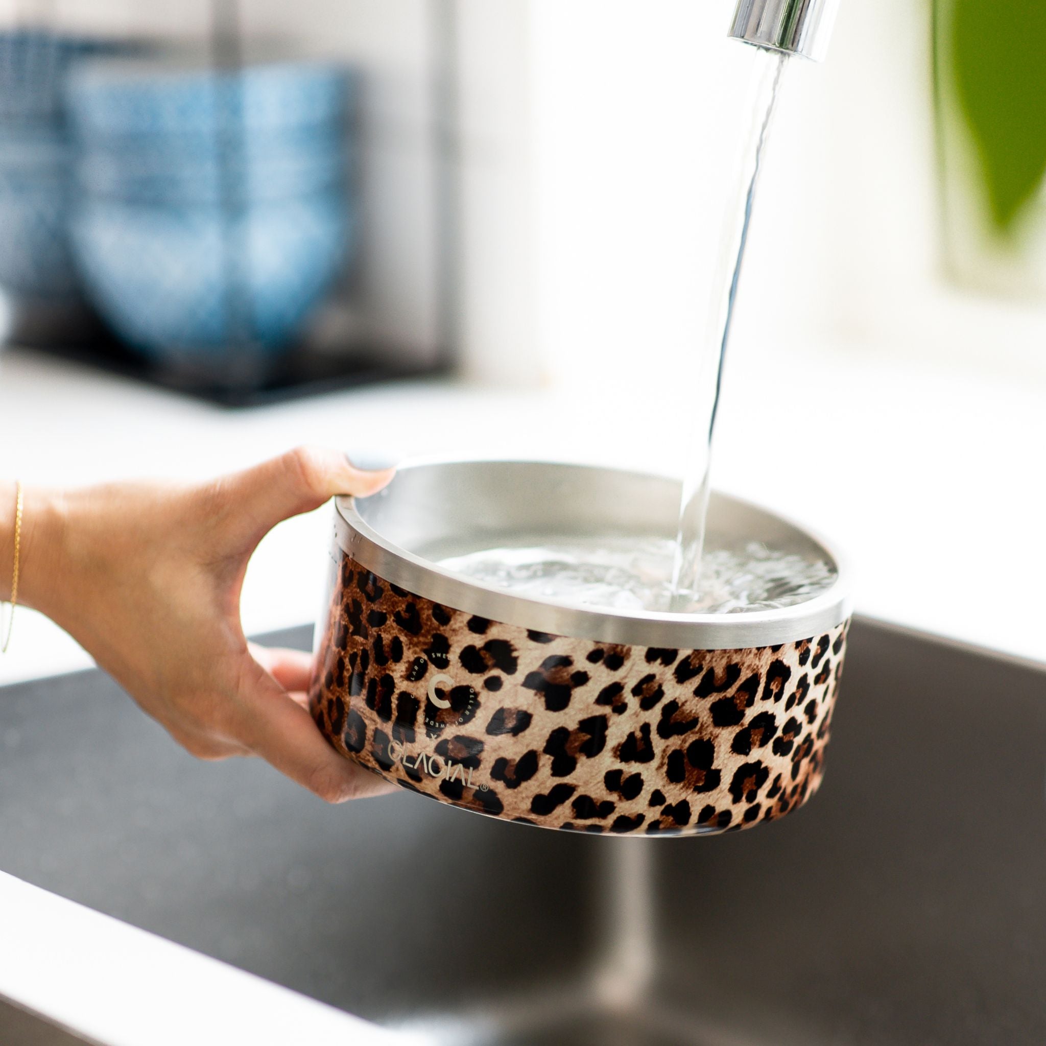 Leopard Dog Bowl