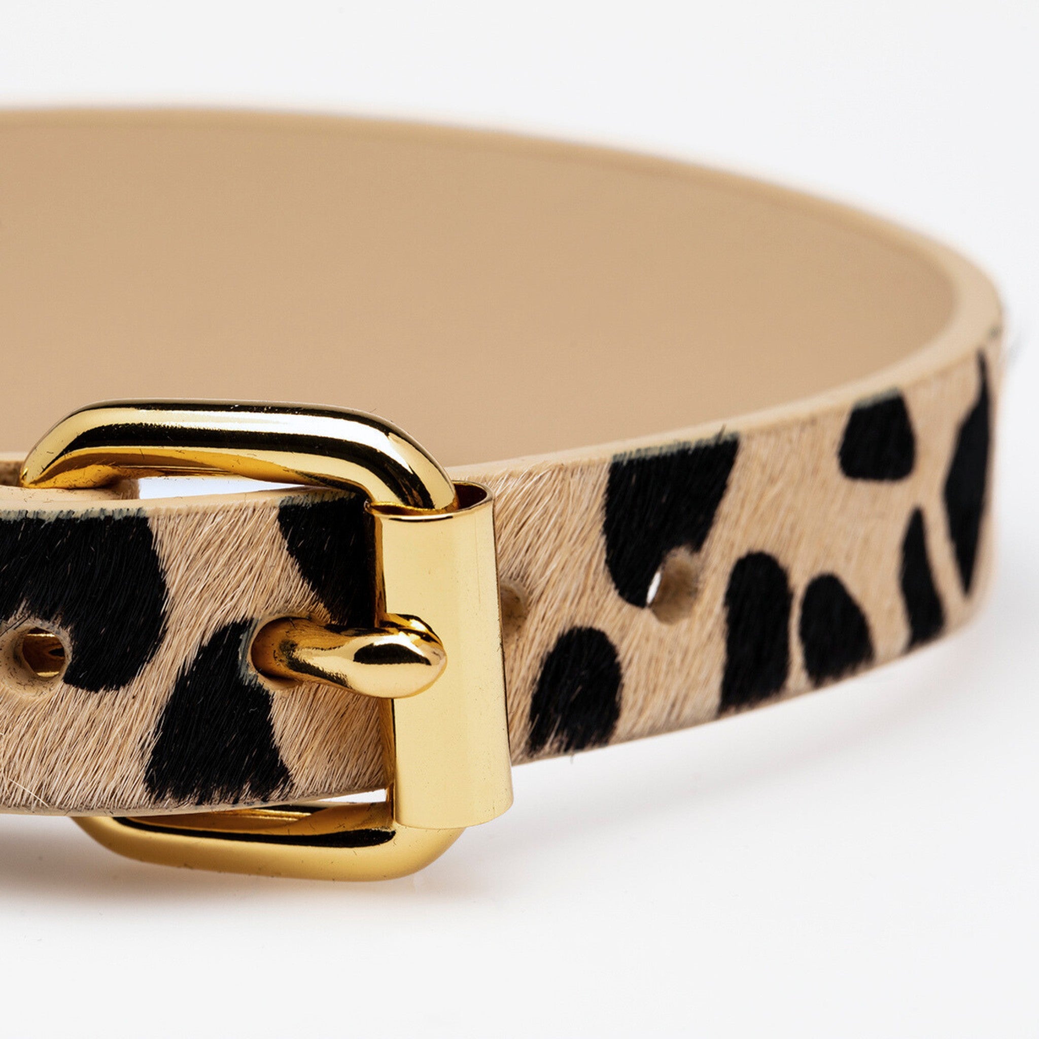 Leopard Dog Collar Wide
Leopard Dog Collar Wide
