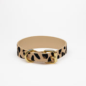 Leopard Dog Collar Thin
Leopard Dog Collar Thin