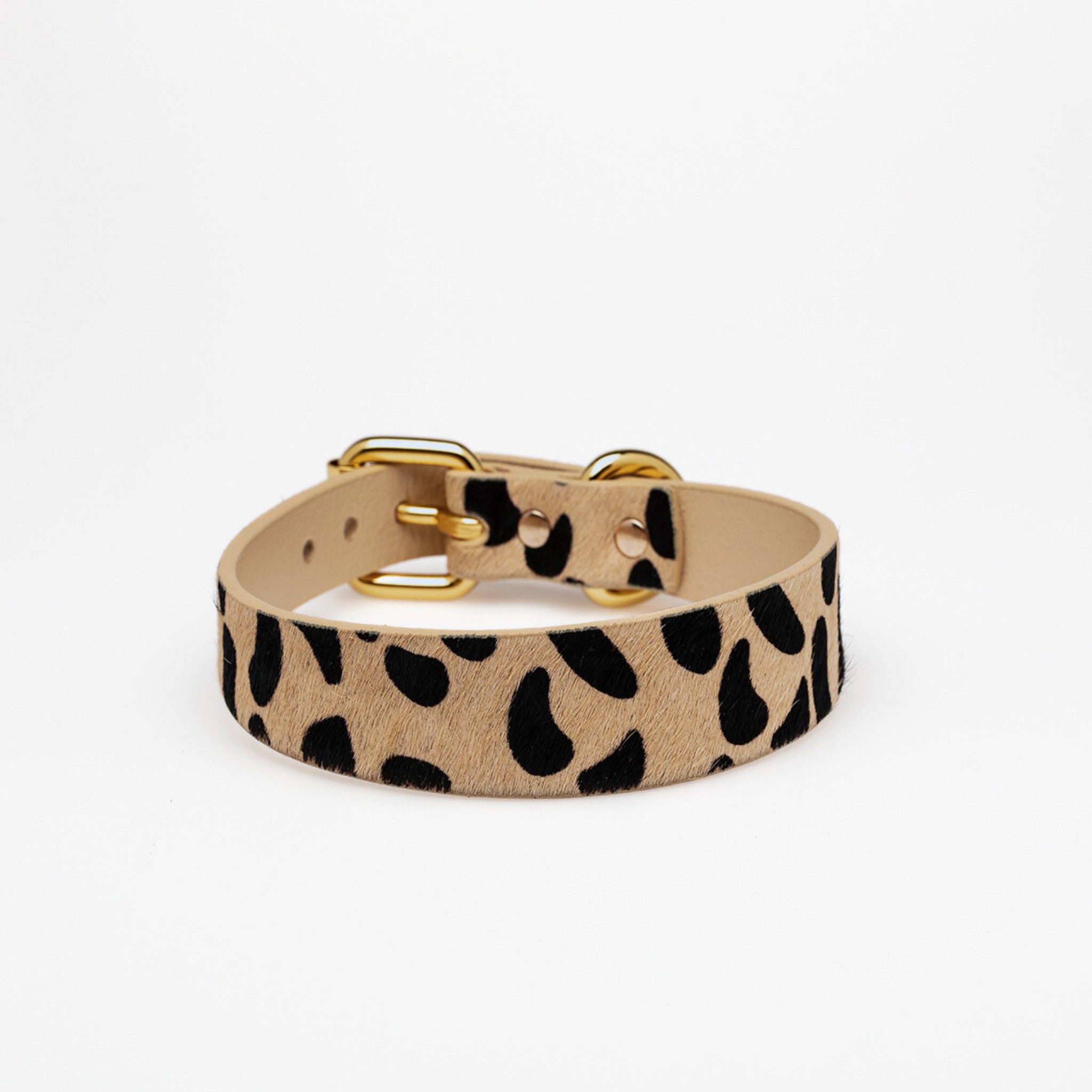 Leopard Dog Collar Thin
Leopard Dog Collar Thin