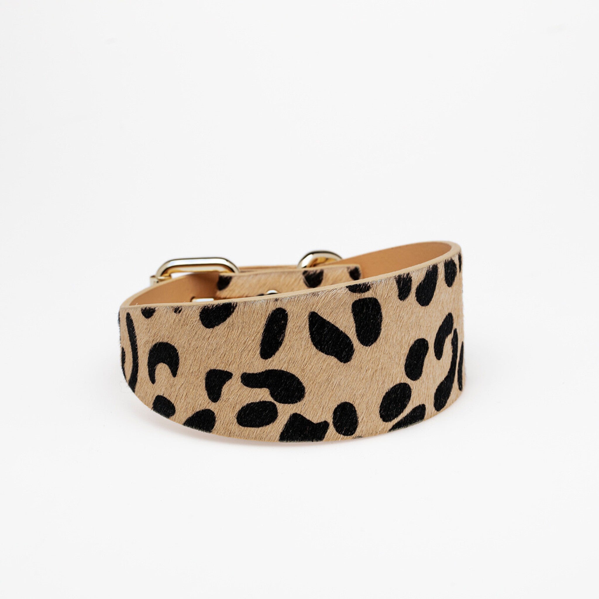 Leopard Dog Collar Wide
Leopard Dog Collar Wide