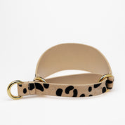 Leopard Dog Martingale Wide
Leopard Dog Martingale Wide