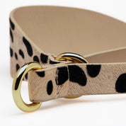 Leopard Dog Martingale Wide
Leopard Dog Martingale Wide