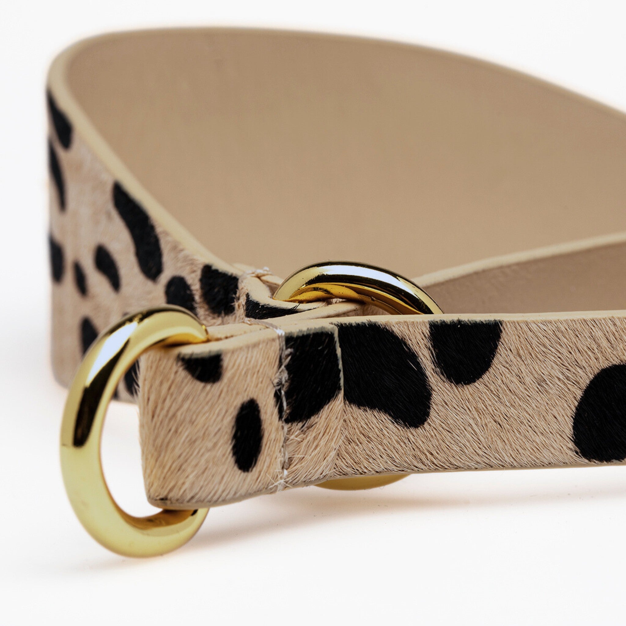 Leopard Dog Martingale Wide
Leopard Dog Martingale Wide