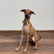 Leopard Dog Collar Wide
Leopard Dog Collar Wide