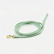 Mint Dog Lead