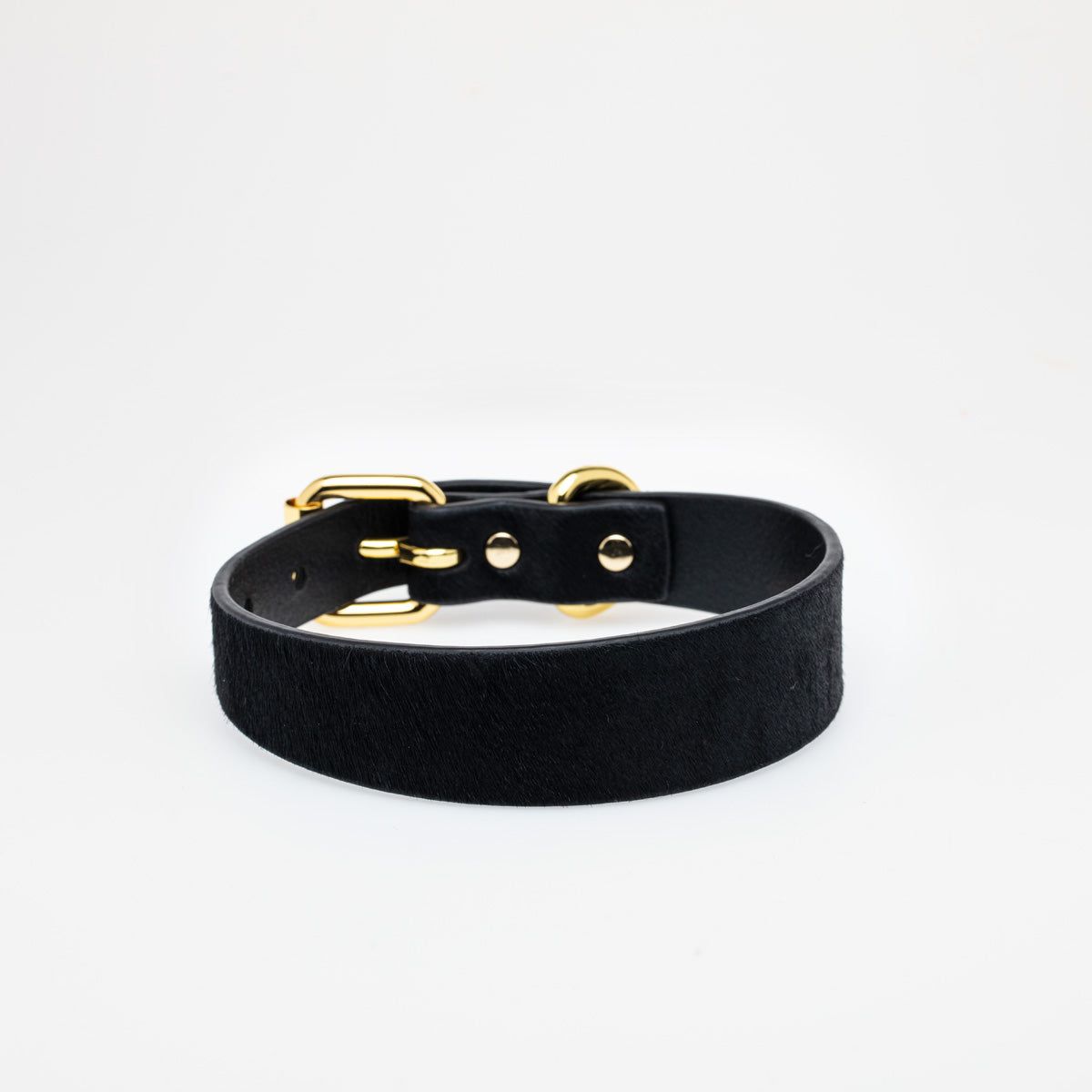 Přezka pro psa Panther Thin