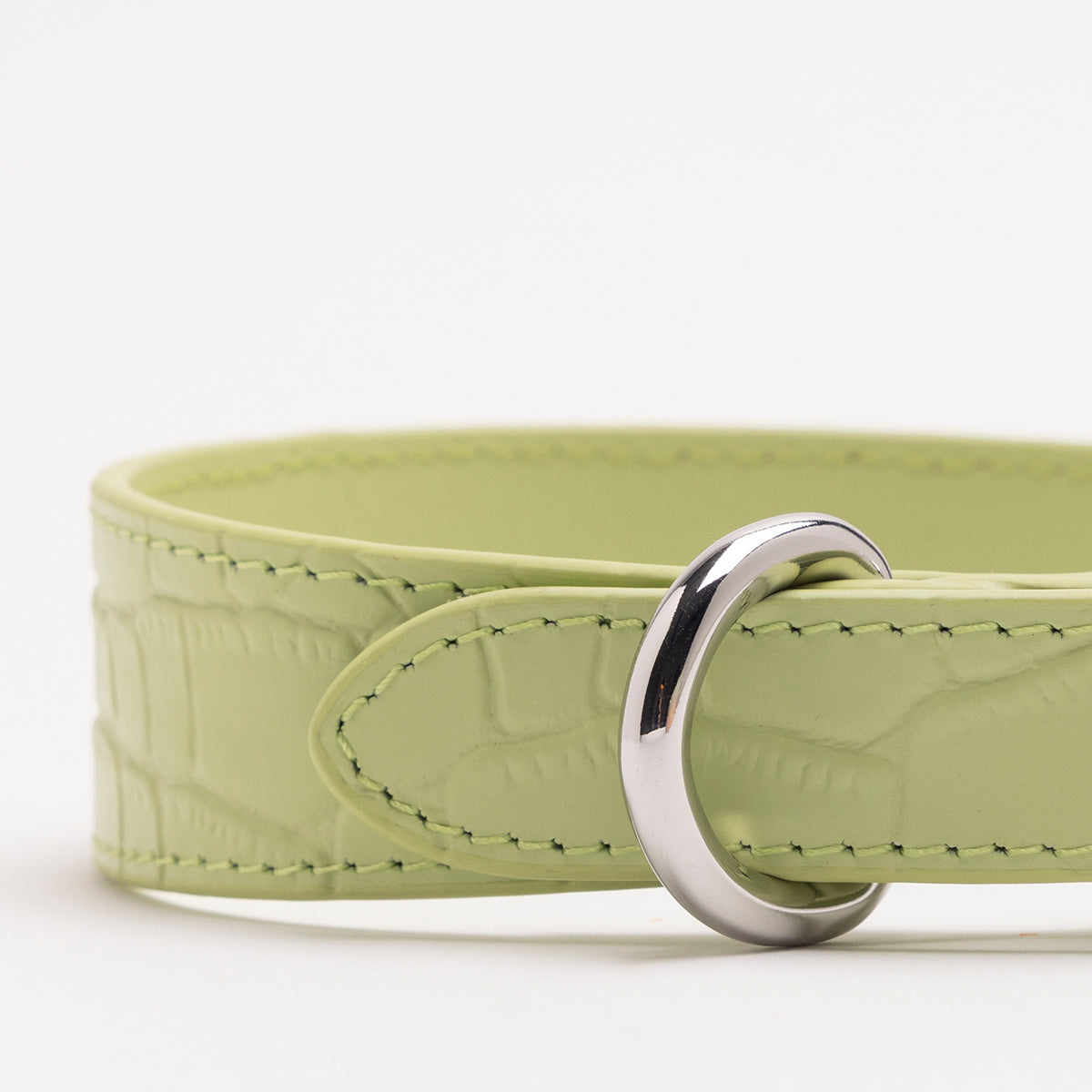 Pastel Green Croco Dog Collar Thin
(Pastelově zelený psí obojek Croco tenký)