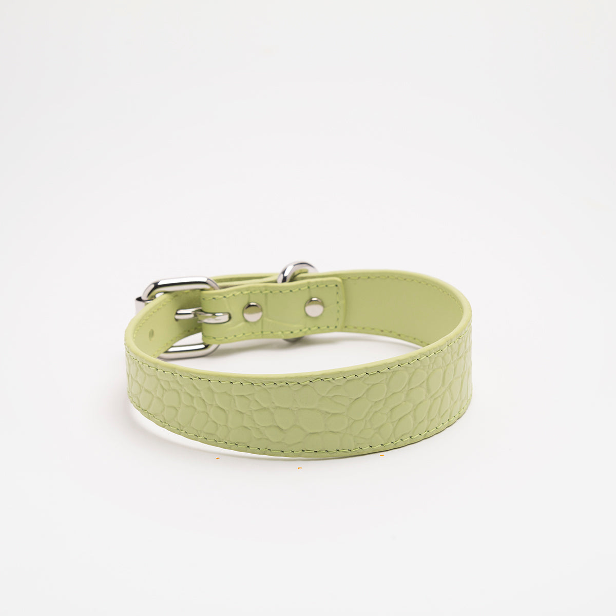 Pastel Green Croco Dog Collar Thin
(Pastelově zelený psí obojek Croco tenký)