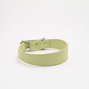 Pastel Green Croco Dog Collar Thin
(Pastelově zelený psí obojek Croco tenký)