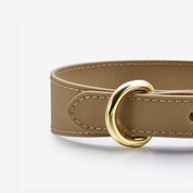 Reflective Bronze Dog Collar Thin

Odrážející bronzový psí obojek tenký