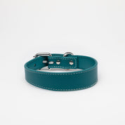 Turquoise Dog Collar Thin
Modrý psí obojek Tenký